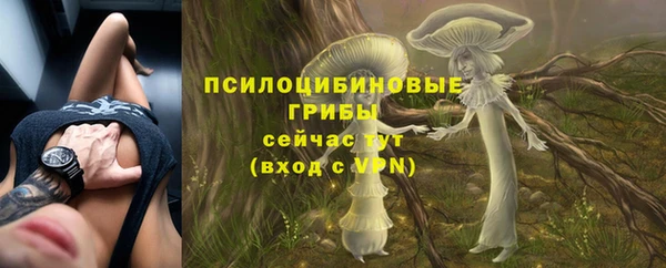 меф Краснотурьинск