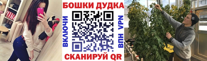 ссылка на мегу как войти  Луза  Бошки марихуана планчик 